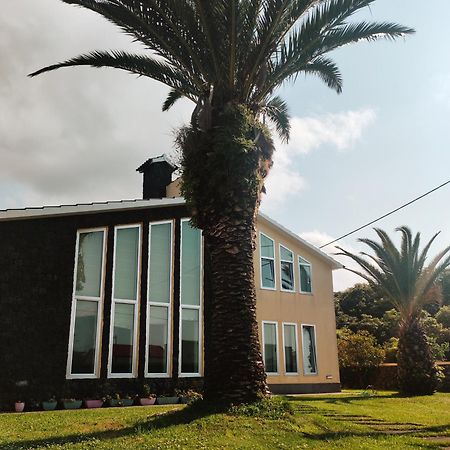 Palmtree 37 Al Lägenhet Praia da Vitória Exteriör bild