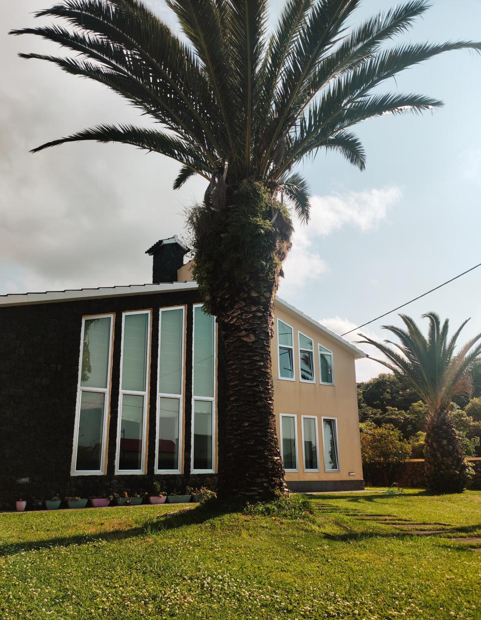 Palmtree 37 Al Lägenhet Praia da Vitória Exteriör bild